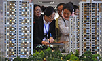 Developers need to diversify: experts