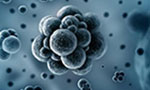 Tracking the MERS virus