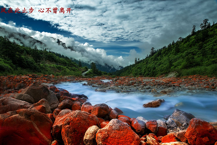 Walking in picturesque Conch Gully in autumn