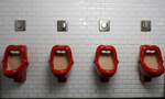 All cisterns go for World Toilet Day