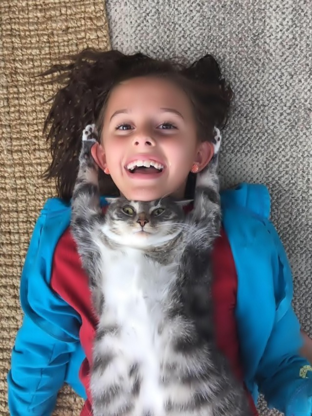 Awkward moments of cats