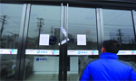 95% of projects on financing platform found to be fake probe
