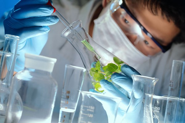 China becomes world's second-largest R&D performer