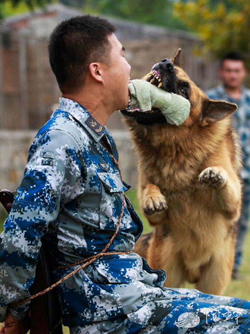 Hi, Buddy! Thank you for your love

