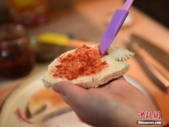 Creative mother produces 232 unique breakfasts