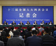 462 motions submitted to NPC