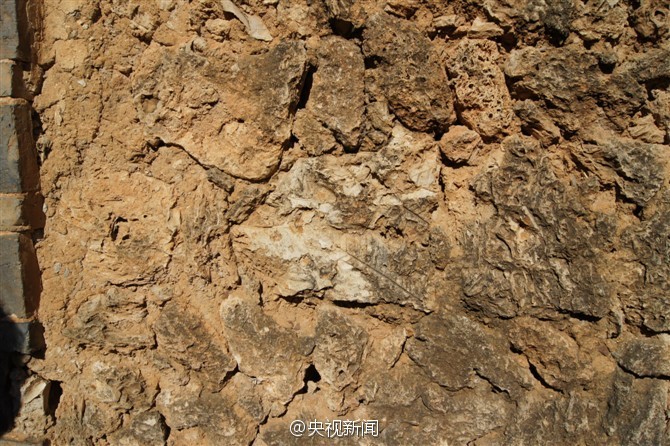 Ancient village with houses built with 375 million-year-old fossils 