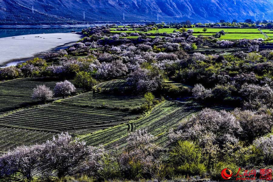 Nyingchi：Fairyland on earth