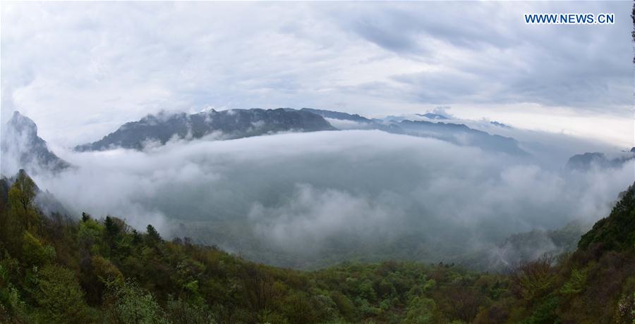 China's Hubei Shennongjia added to World Heritage List