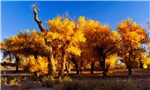 The best places to enjoy the many autumn colors of China