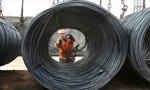EU should curb protectionism: expert