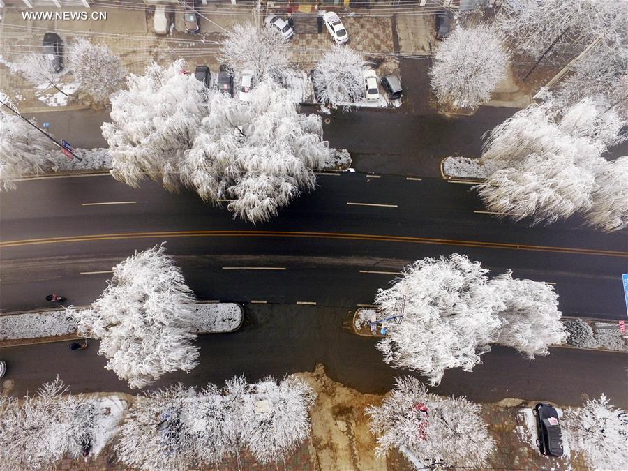 #CHINA-HEBEI-ZUNHUA-RIME (CN)