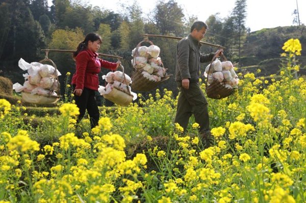 China promises tougher assessment in war on poverty