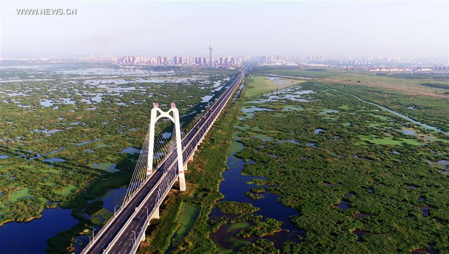 Scenery of Longfeng wetland nature reserve in NE China's Daqing City