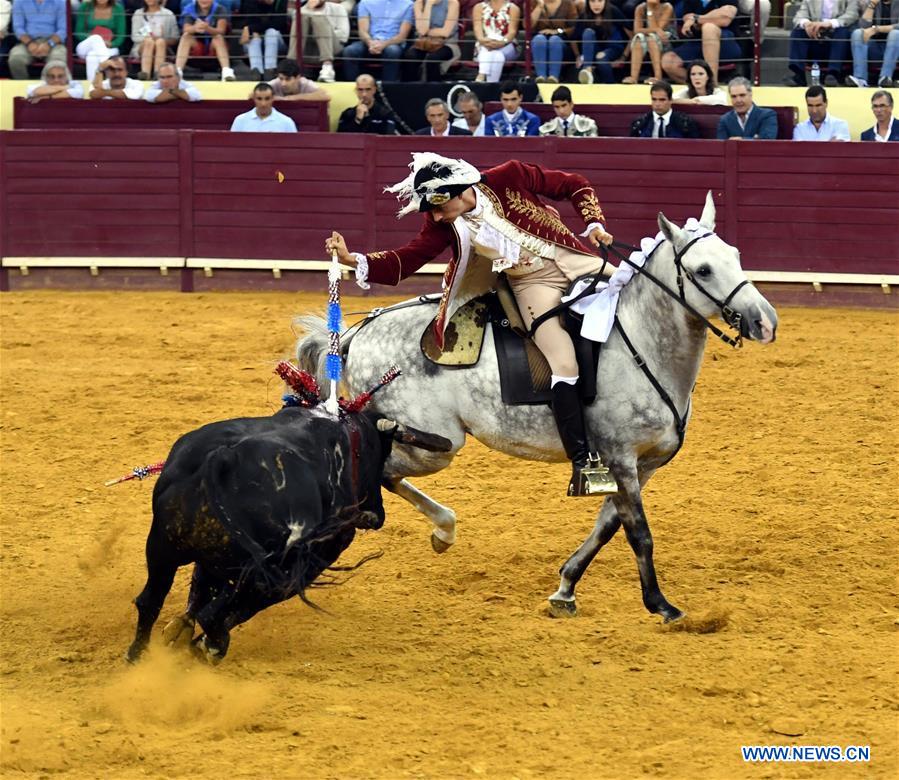 Highlights of bullfighting in Lisbon, Portugal