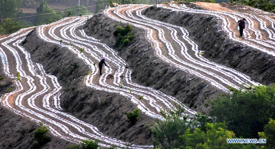 In pics: Farmers work at fields in China