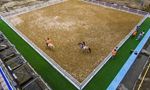 Hainan on its mark to kick-start horse racing in buildup to international tour center