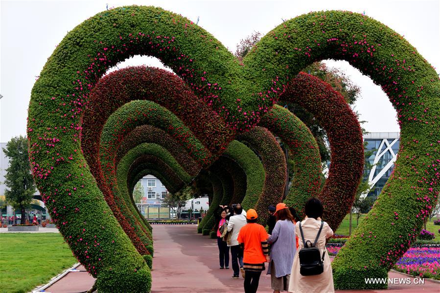 Trade fair for flowers, trees held in central China's Xuchang
