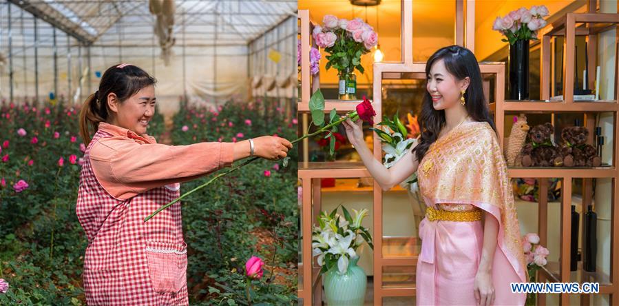 Kunming-Bangkok Expressway facilitates flower trade between China and Thailand