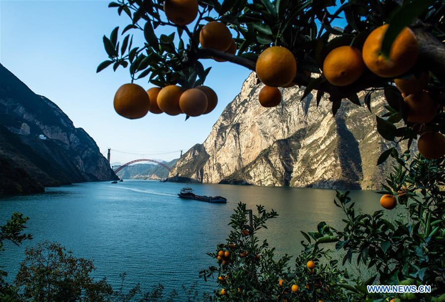 Implementation of rural vitalization strategy accelerated across China