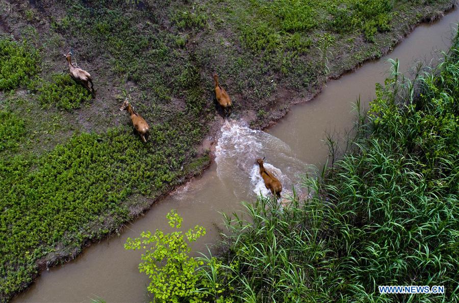 China seeks better coordination between economic, social development, ecological civilization