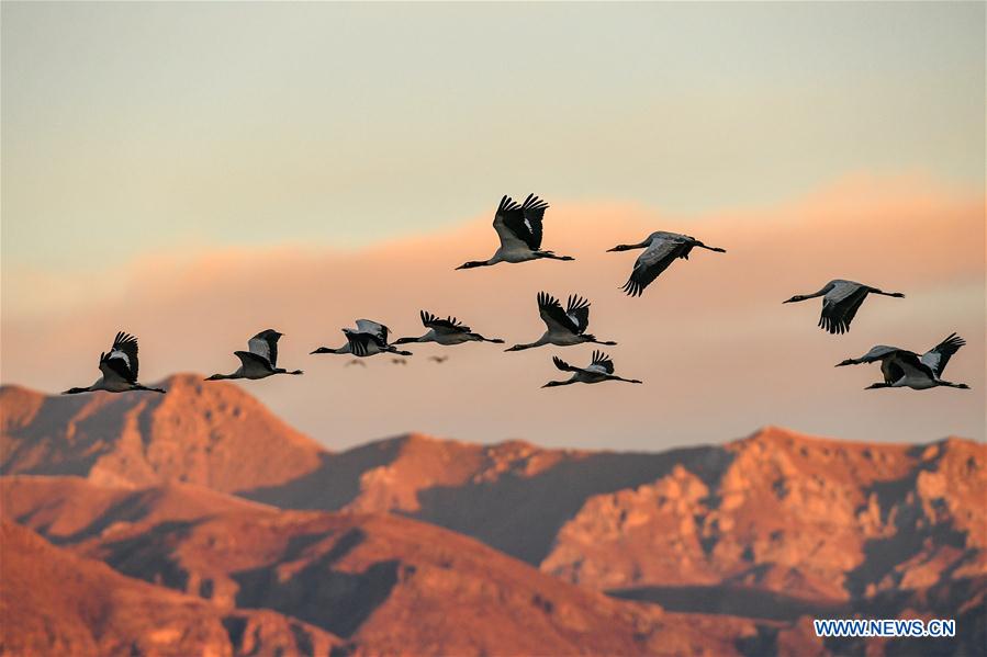 China seeks better coordination between economic, social development, ecological civilization