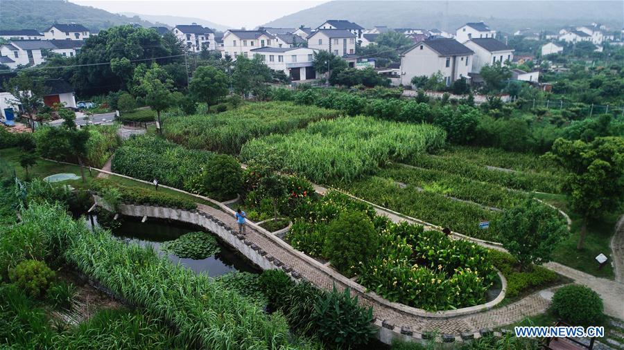 China seeks better coordination between economic, social development, ecological civilization