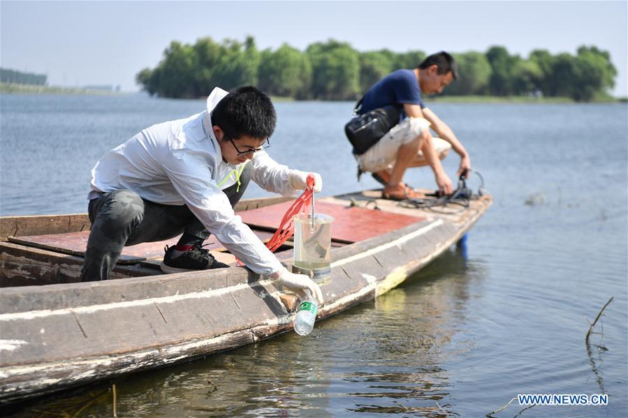 China seeks better coordination between economic, social development, ecological civilization