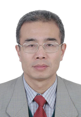 Wang Jun，Doctor of Management and Professor of Economics, President of the Academy of Greater Bay Area Studies.