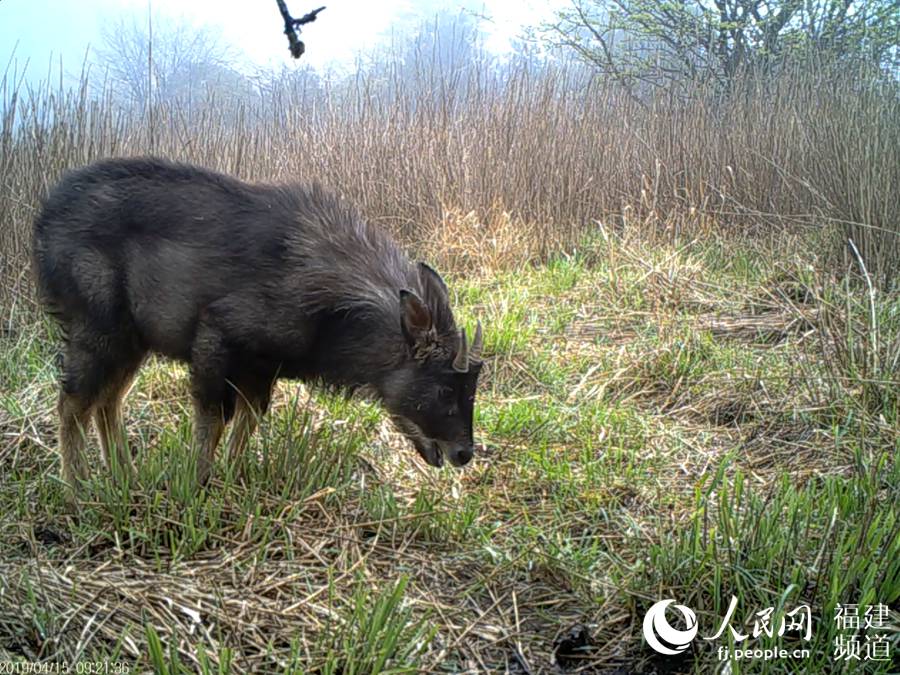 Scientific expedition team digs nature reserve in southeast China