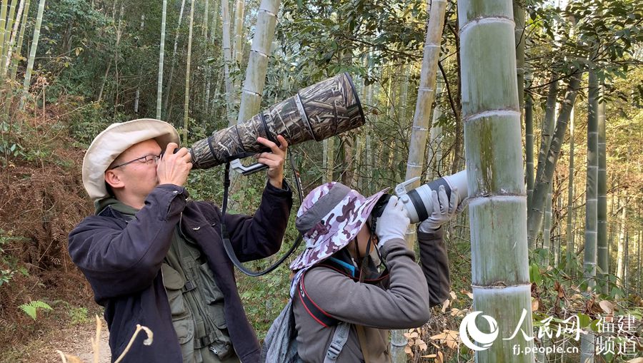 Scientific expedition team digs nature reserve in southeast China