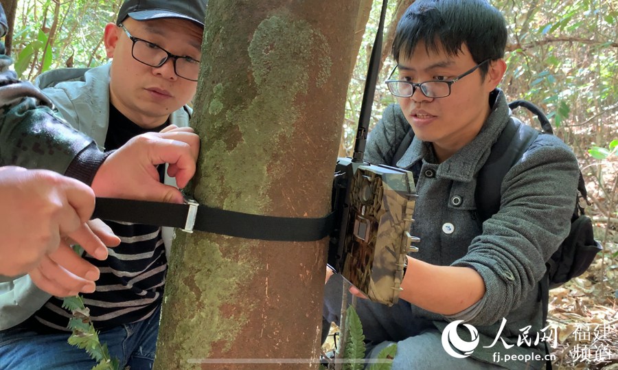 Scientific expedition team digs nature reserve in southeast China