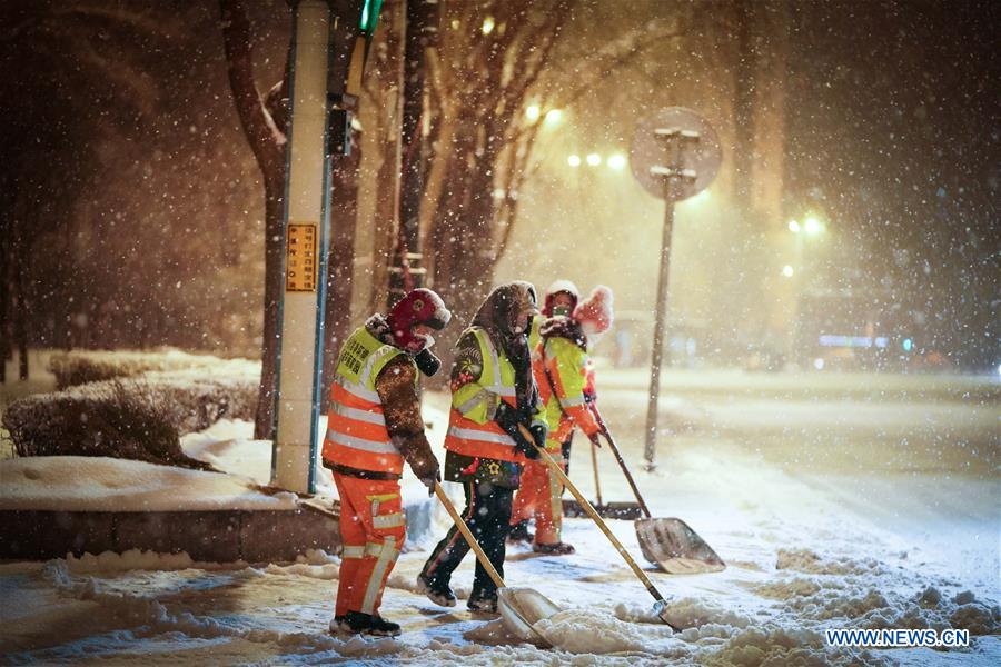 Snowfall hits NE China's Harbin