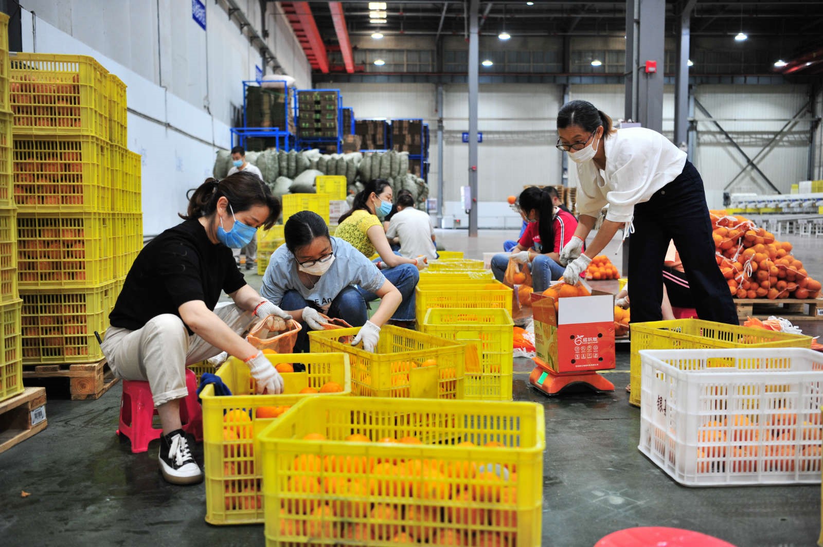 China sees expansion of new businesses, upgrading of new consumption