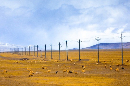 Tibet improves power construction, straightens “l(fā)ast mile” for poverty alleviation