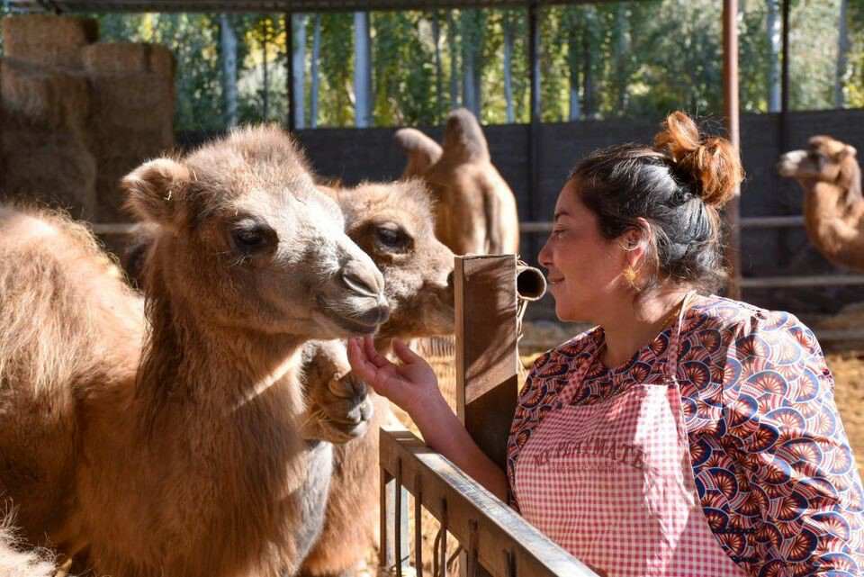 Village in Xinjiang develops featured industry, bids farewell to poverty