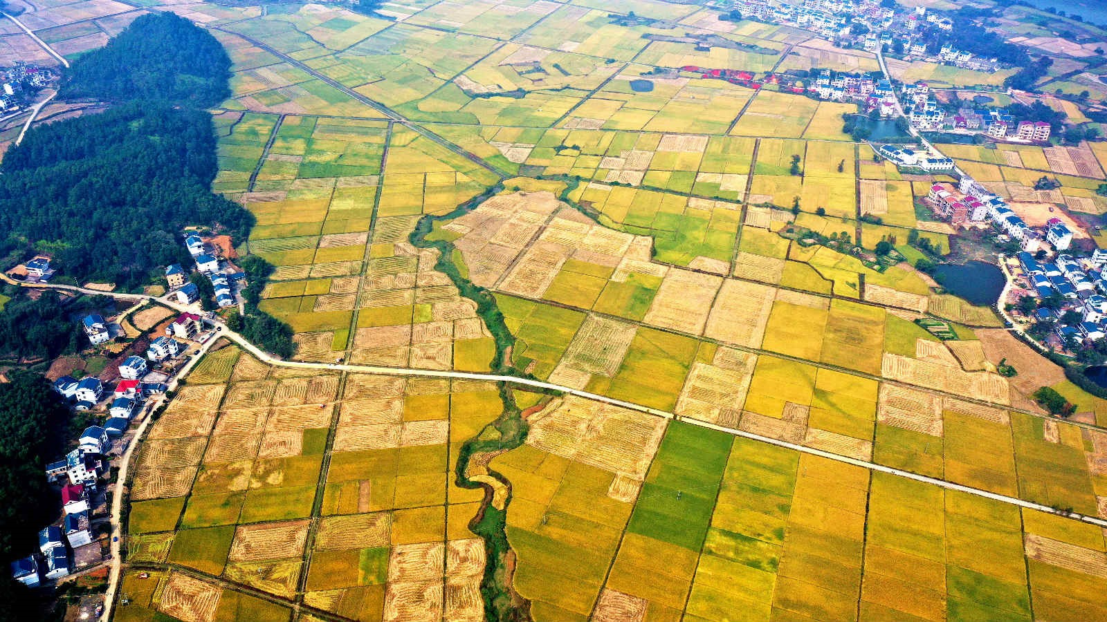 China to advance work related to agriculture, rural areas, farmers with concrete efforts