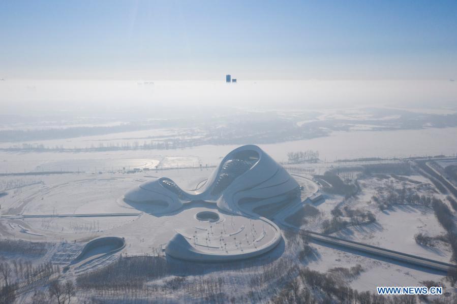 In pics: Harbin Sun Island International Snow Sculpture Art Exposition