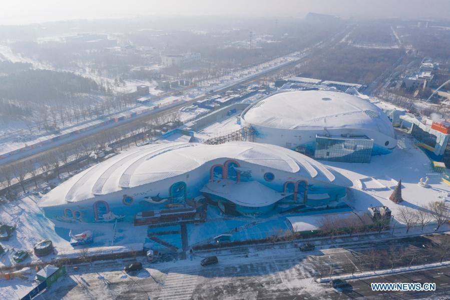In pics: Harbin Sun Island International Snow Sculpture Art Exposition