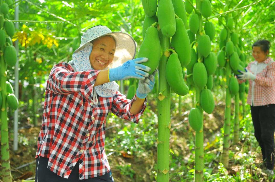 98 percent once-impoverished residents in China benefit from policies on reducing poverty via industrial development