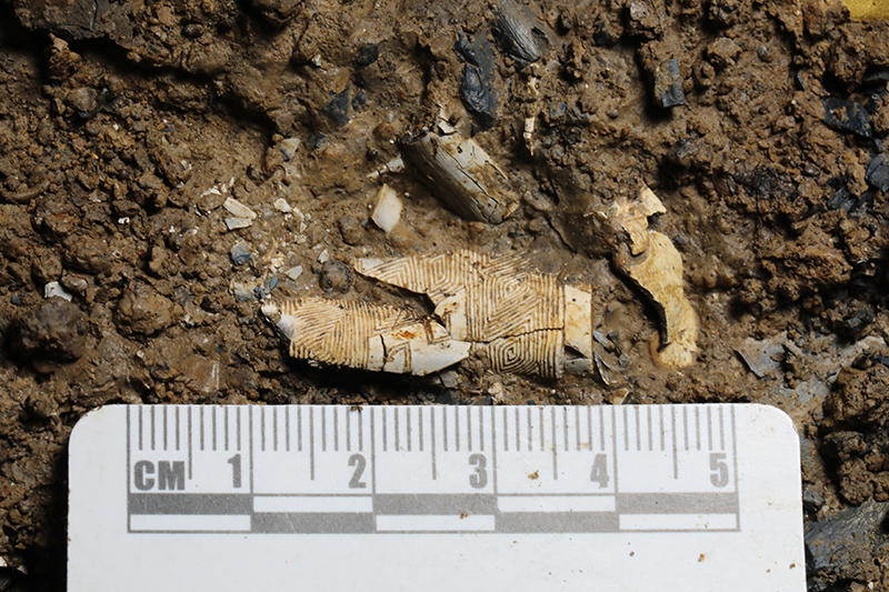 New discoveries at Sanxingdui Ruins shed light on unified, diverse origins of Chinese civilization