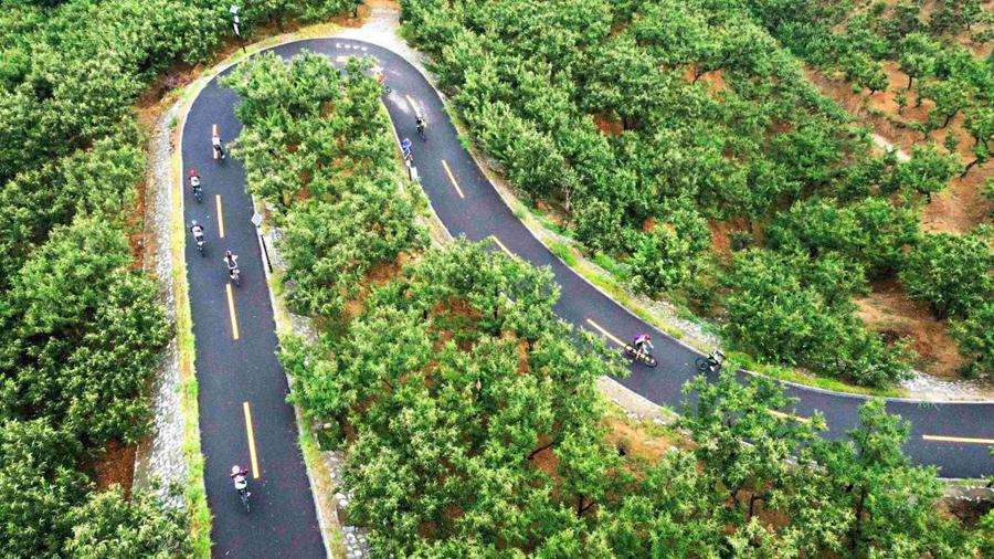 China speeds up construction of clean, low-carbon society