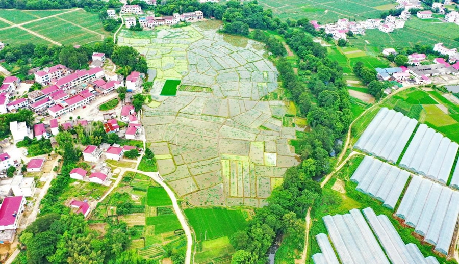 Solving absolute poverty a great and glorious accomplishment of Chinese nation