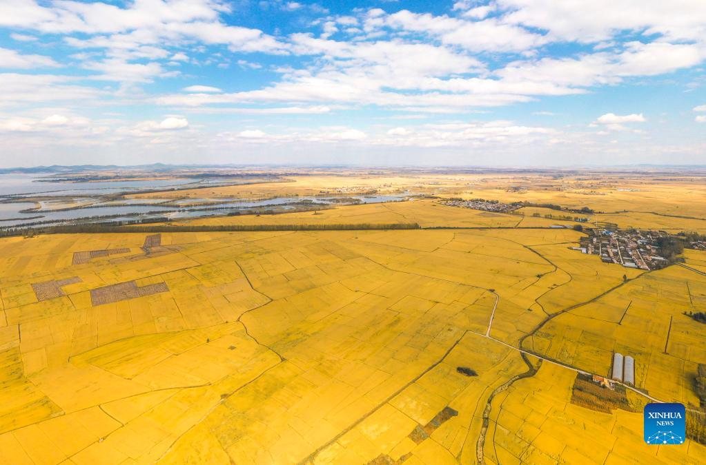 China today: ecological civilization