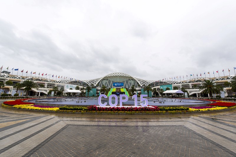China determined to pursue green development and build shared future for humanity and nature