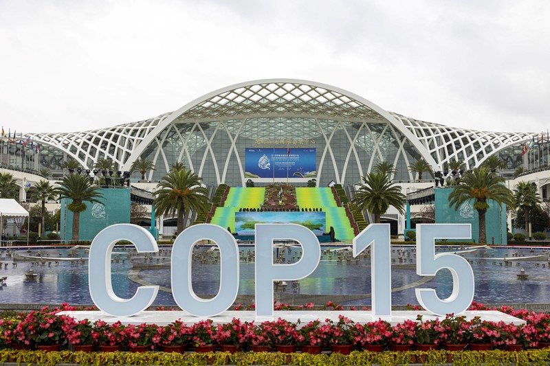 China joins hands with world to start new journey of high-quality development for humanity