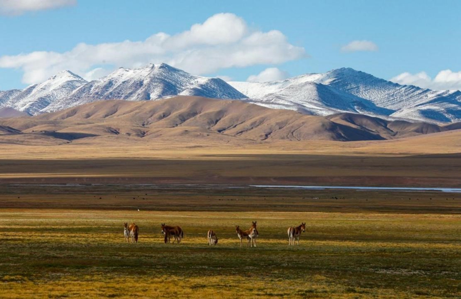 China officially designates first group of national parks