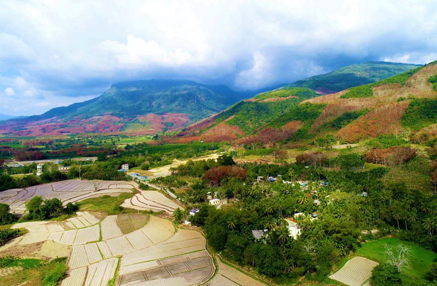 Shared homestay business booms in Hainan