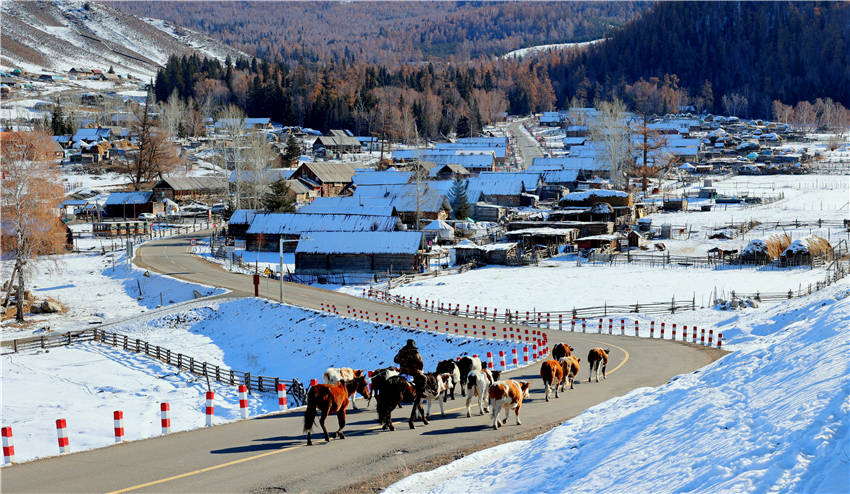 Snow-clad landscape brightens Kanas in NW China's Xinjiang