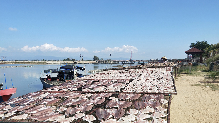 Fishermen in S China's Hainan dry their catch in the winter sun